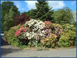 : C:\Users\tonoguchi\home1\ileland\botanicgarden.jpg