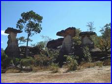 : thai1