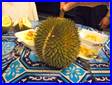 : : durian1