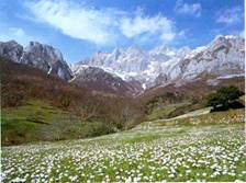 : : picos de europa1